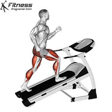 What Muscles Does A Treadmill Work