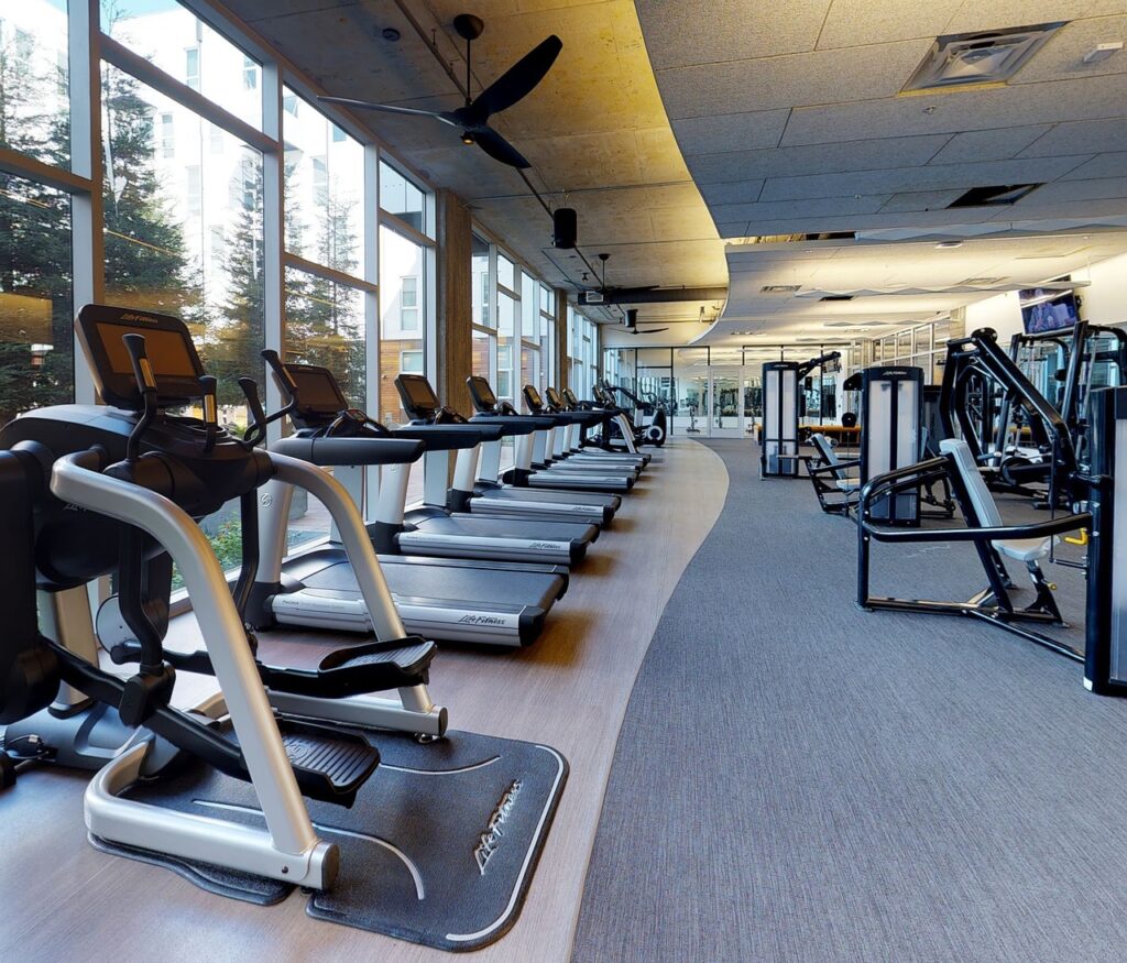 Why Might Some Users Prefer Treadmills With Curved Decks?